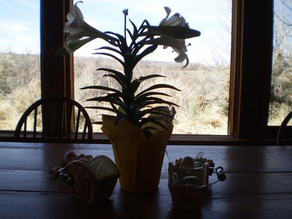Silver River Adobe Inn Bed And Breakfast Farmington Buitenkant foto