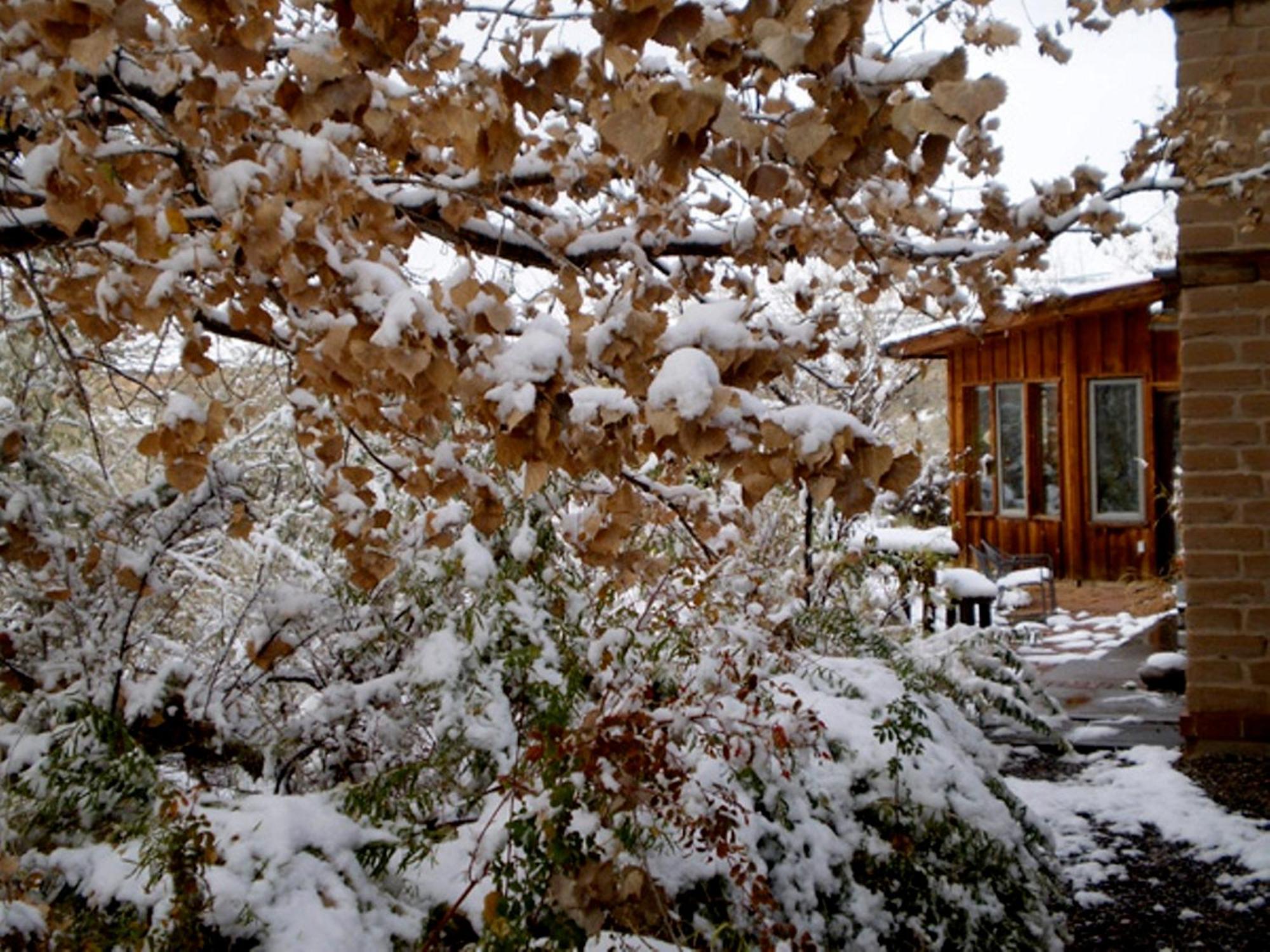 Silver River Adobe Inn Bed And Breakfast Farmington Buitenkant foto